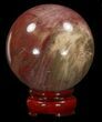 Colorful Petrified Wood Sphere #41945-1